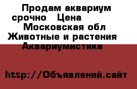 Продам аквариум срочно › Цена ­ 50 000 - Московская обл. Животные и растения » Аквариумистика   